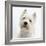 Portrait of a West Highland White Terrier-Mark Taylor-Framed Photographic Print