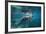 Portrait of a West Indian Manatee or "Sea Cow" in Crystal River, Three Sisters Spring, Florida-Karine Aigner-Framed Photographic Print