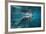 Portrait of a West Indian Manatee or "Sea Cow" in Crystal River, Three Sisters Spring, Florida-Karine Aigner-Framed Photographic Print