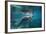 Portrait of a West Indian Manatee or "Sea Cow" in Crystal River, Three Sisters Spring, Florida-Karine Aigner-Framed Photographic Print