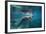 Portrait of a West Indian Manatee or "Sea Cow" in Crystal River, Three Sisters Spring, Florida-Karine Aigner-Framed Photographic Print