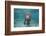 Portrait of a West Indian Manatee or "Sea Cow" in Crystal River, Three Sisters Spring, Florida-Karine Aigner-Framed Photographic Print