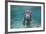 Portrait of a West Indian Manatee or "Sea Cow" in Crystal River, Three Sisters Spring, Florida-Karine Aigner-Framed Photographic Print