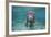 Portrait of a West Indian Manatee or "Sea Cow" in Crystal River, Three Sisters Spring, Florida-Karine Aigner-Framed Photographic Print