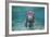 Portrait of a West Indian Manatee or "Sea Cow" in Crystal River, Three Sisters Spring, Florida-Karine Aigner-Framed Photographic Print