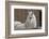 Portrait of a White Horse-Zandria Muench Beraldo-Framed Photographic Print