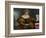 Portrait of a Woman Inspired by Lucretia, Ca 1530-Lorenzo Lotto-Framed Giclee Print