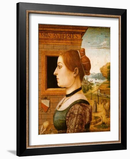 Portrait of a Woman, possibly Ginevra d'Antonio Lupari Gozzadini, c.1494-Italian School-Framed Giclee Print