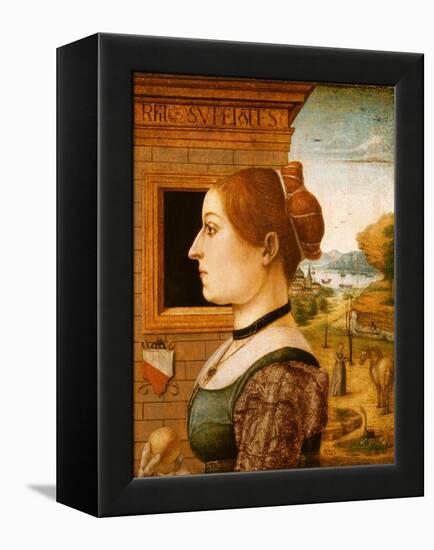 Portrait of a Woman, possibly Ginevra d'Antonio Lupari Gozzadini, c.1494-Italian School-Framed Premier Image Canvas