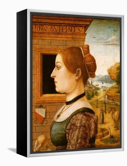 Portrait of a Woman, possibly Ginevra d'Antonio Lupari Gozzadini, c.1494-Italian School-Framed Premier Image Canvas