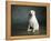 Portrait of a Yellow Labrador Dog-null-Framed Premier Image Canvas