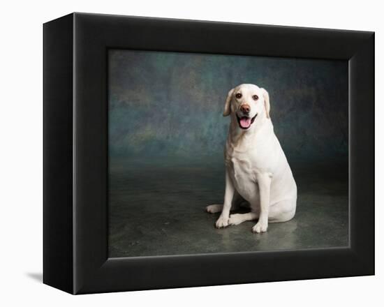 Portrait of a Yellow Labrador Dog-null-Framed Premier Image Canvas