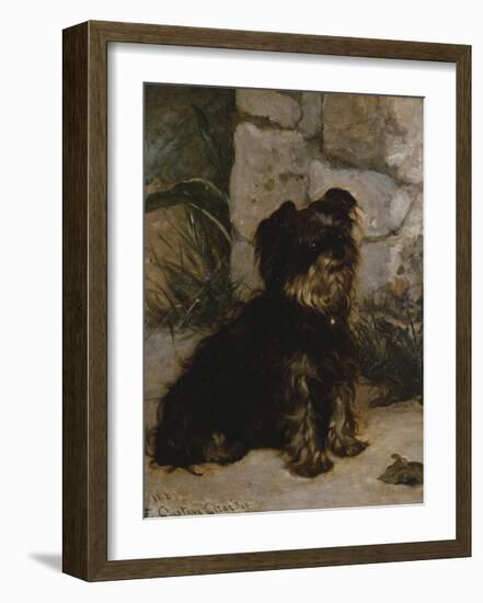 Portrait Of A Yorkshire Terrier-Gustave Giradot-Framed Premium Giclee Print