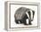 Portrait of a Young Badger (Meles Meles)-Mark Taylor-Framed Premier Image Canvas