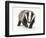 Portrait of a Young Badger (Meles Meles)-Mark Taylor-Framed Photographic Print