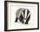 Portrait of a Young Badger (Meles Meles)-Mark Taylor-Framed Photographic Print