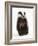 Portrait of a Young Badger Sitting (Meles Meles)-Mark Taylor-Framed Photographic Print