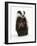 Portrait of a Young Badger Sitting (Meles Meles)-Mark Taylor-Framed Photographic Print