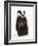 Portrait of a Young Badger Sitting (Meles Meles)-Mark Taylor-Framed Photographic Print