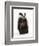 Portrait of a Young Badger Sitting (Meles Meles)-Mark Taylor-Framed Photographic Print