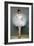 Portrait of a Young Ballerina-Pierre Carrier-belleuse-Framed Giclee Print