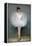 Portrait of a Young Ballerina-Pierre Carrier-belleuse-Framed Premier Image Canvas