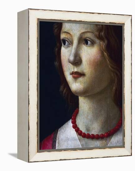 Portrait of a Young Girl, 1485-Domenico Ghirlandaio-Framed Premier Image Canvas