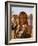 Portrait of a Young Hamer Woman with Goscha, Hamer Tribe, Southern Ethiopia-Gavin Hellier-Framed Photographic Print