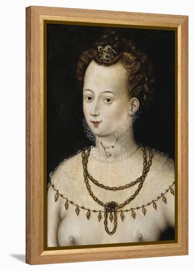 Portrait of a Young Lady an Allegory of Beauty, C.1580 (Painting)-Anonymous Anonymous-Framed Premier Image Canvas