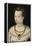 Portrait of a Young Lady an Allegory of Beauty, C.1580 (Painting)-Anonymous Anonymous-Framed Premier Image Canvas