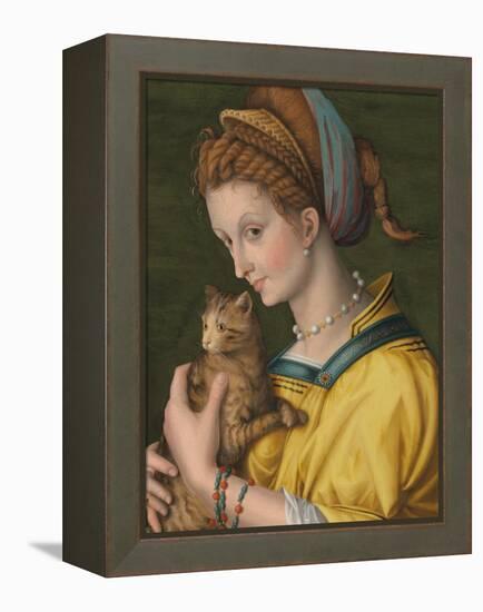 Portrait of a Young Lady Holding a Cat-Francesco Ubertini Verdi Bachiacca-Framed Premier Image Canvas