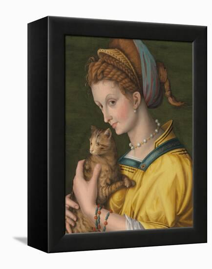 Portrait of a Young Lady Holding a Cat-Francesco Ubertini Verdi Bachiacca-Framed Premier Image Canvas