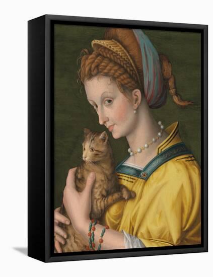 Portrait of a Young Lady Holding a Cat-Francesco Ubertini Verdi Bachiacca-Framed Premier Image Canvas