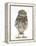 Portrait of a Young Little Owl (Athene Noctua)-Mark Taylor-Framed Premier Image Canvas