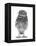 Portrait of a Young Little Owl (Athene Noctua)-Mark Taylor-Framed Premier Image Canvas