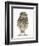 Portrait of a Young Little Owl (Athene Noctua)-Mark Taylor-Framed Premium Photographic Print