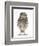 Portrait of a Young Little Owl (Athene Noctua)-Mark Taylor-Framed Photographic Print