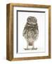 Portrait of a Young Little Owl (Athene Noctua)-Mark Taylor-Framed Photographic Print