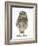 Portrait of a Young Little Owl (Athene Noctua)-Mark Taylor-Framed Photographic Print