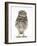 Portrait of a Young Little Owl (Athene Noctua)-Mark Taylor-Framed Photographic Print