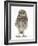 Portrait of a Young Little Owl (Athene Noctua)-Mark Taylor-Framed Photographic Print