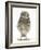 Portrait of a Young Little Owl (Athene Noctua)-Mark Taylor-Framed Photographic Print