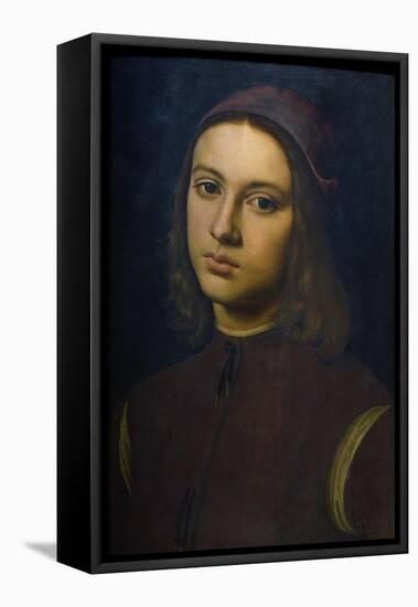 Portrait of a Young Man, 1495-Pietro Perugino-Framed Premier Image Canvas