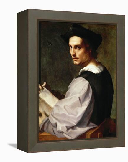 Portrait of a Young Man, 1517-Andrea del Sarto-Framed Premier Image Canvas