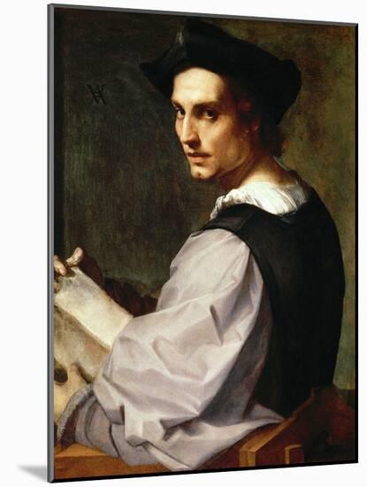 Portrait of a Young Man, 1517-Andrea del Sarto-Mounted Giclee Print