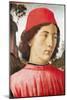 Portrait of a Young Man, 15th Century-Domenico Ghirlandaio-Mounted Giclee Print