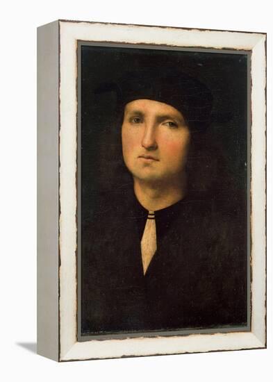 Portrait of a Young Man, Between 1495 and 1500-Perugino-Framed Premier Image Canvas