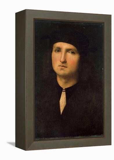 Portrait of a Young Man, Between 1495 and 1500-Perugino-Framed Premier Image Canvas