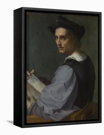 Portrait of a Young Man, Ca 1518-Andrea del Sarto-Framed Premier Image Canvas
