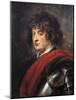 Portrait of a Young Man in Armour, C.1620 (Oil on Canvas)-Peter Paul Rubens-Mounted Giclee Print